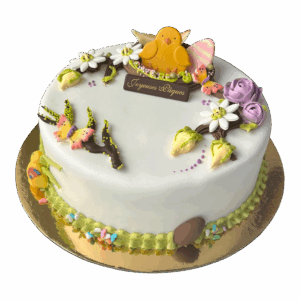 20240207_203846311_iOS