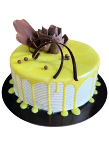 thumbnail_image0-Photoroom_2